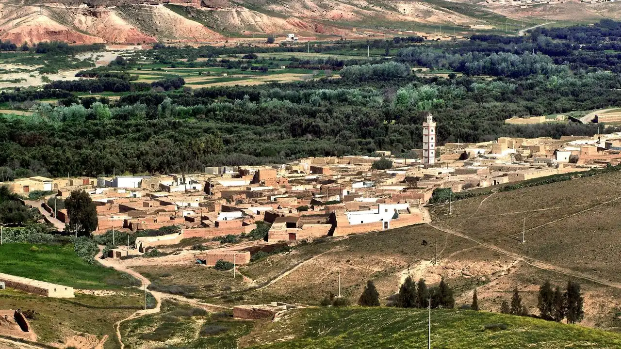Modern Standard vs. Moroccan Darija: What's The Difference?