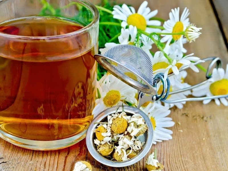 Arab chamomile tea